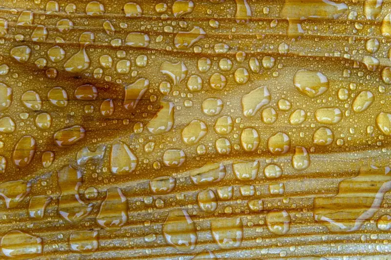 星级酒店被套枕套的洗涤寿命管理：布草更换周期与成本控制方案